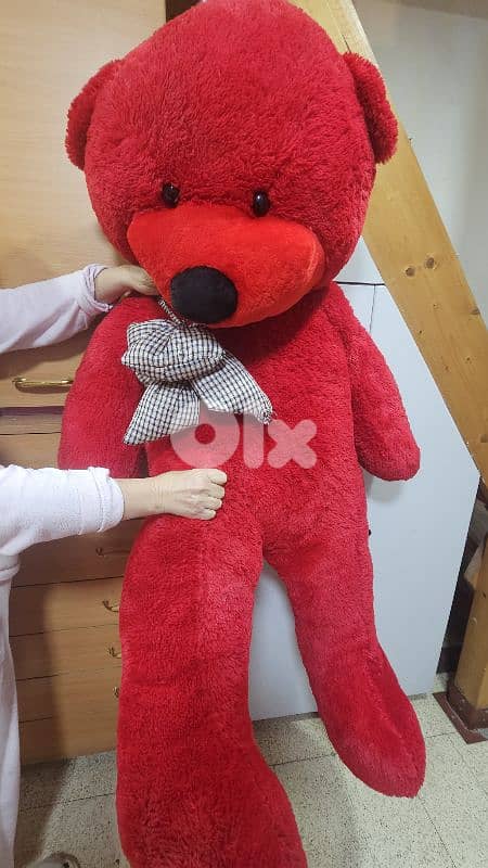 دبدوب احمر 2