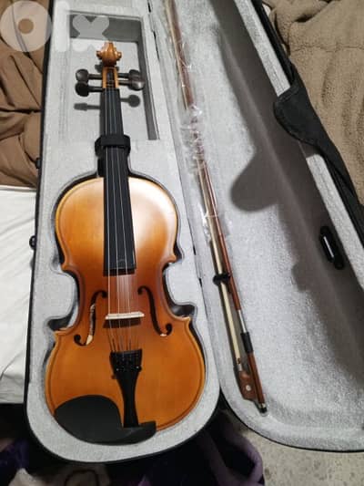 violin