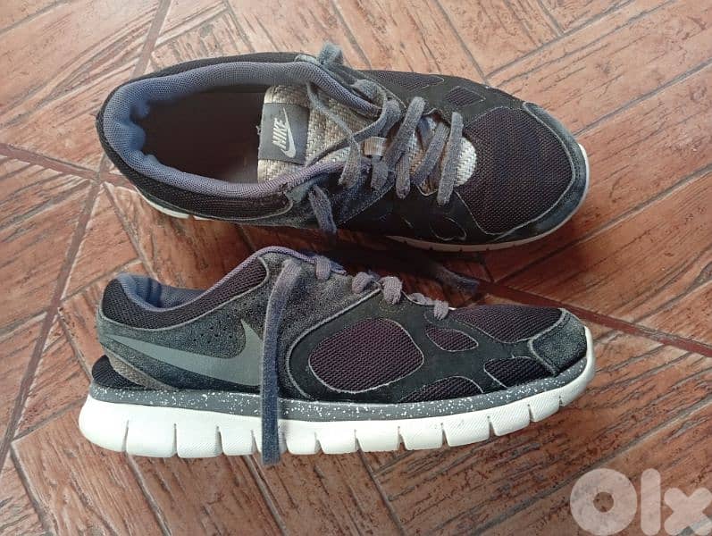 Nike the original shoes 1