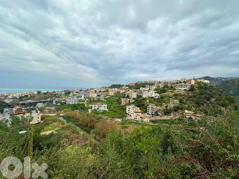 Land for sale in Aqeibe/ Amazing View 1