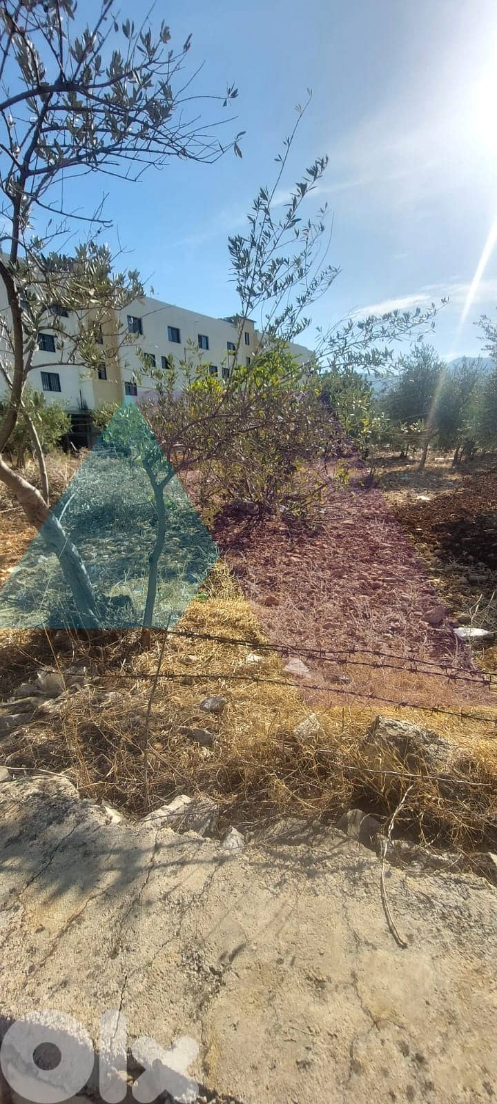 2100 m2 land+open view 4sale in Bsarma - أرض للبيع في بسارما 1