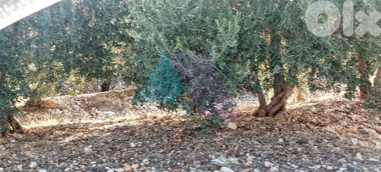 2100 m2 land+open view 4sale in Bsarma - أرض للبيع في بسارما 3