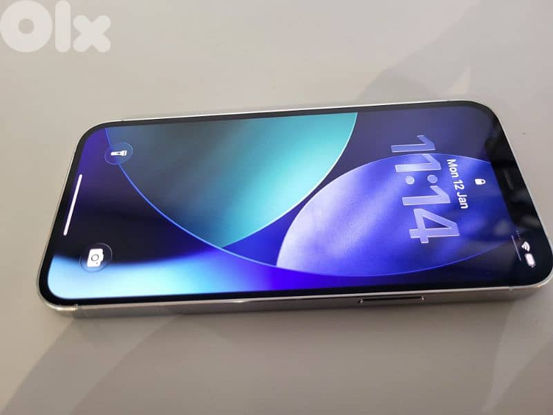 iphone 12 pro 256gb true tone 4