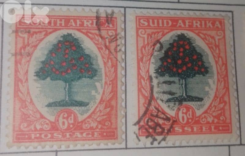 British south africa 6