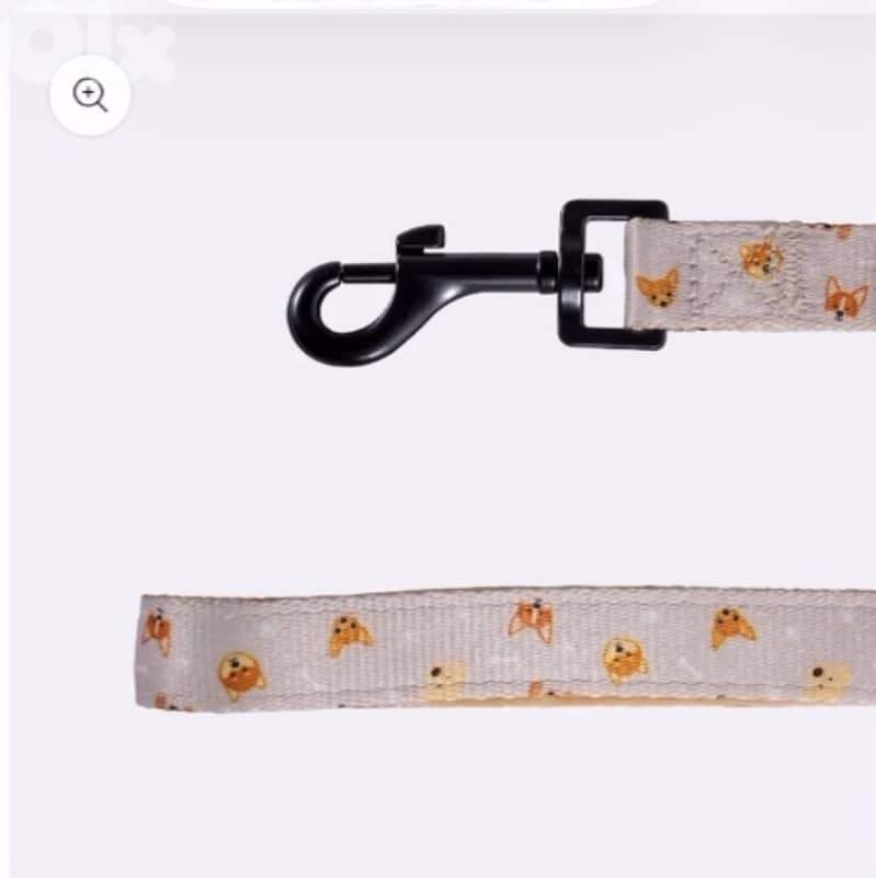 Dog leash 2