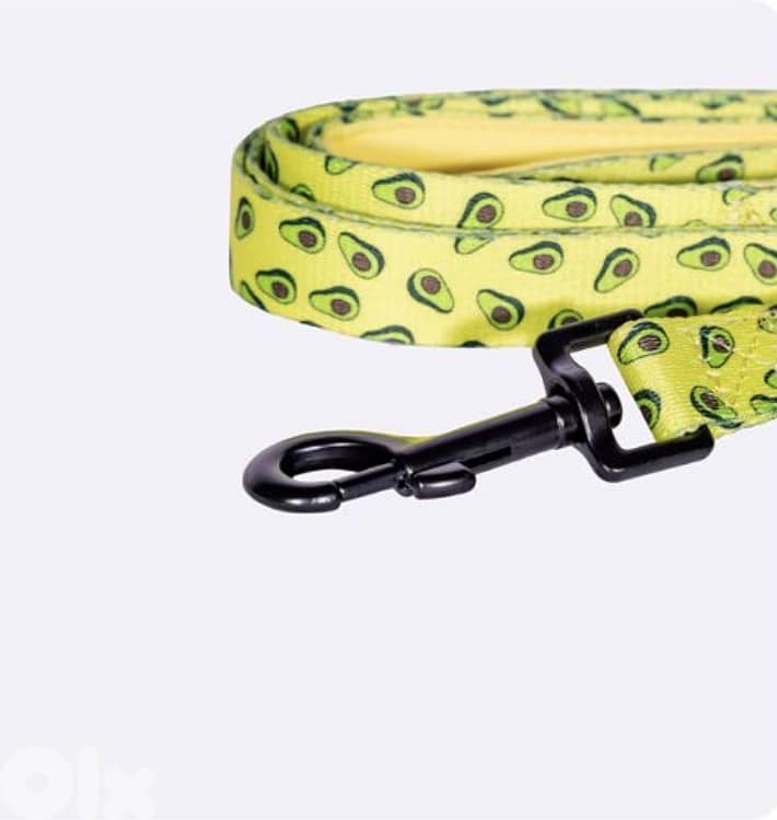 Dog leash 1