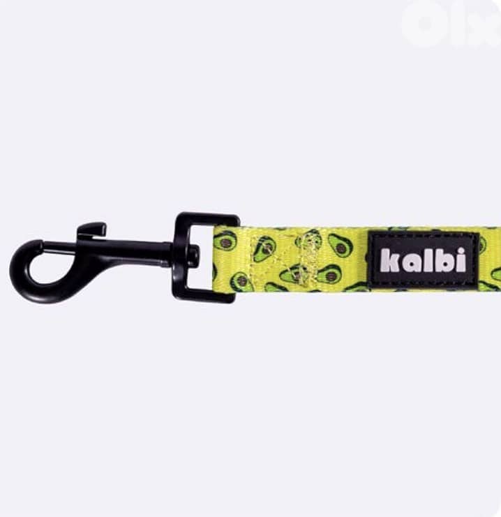 Dog leash 2