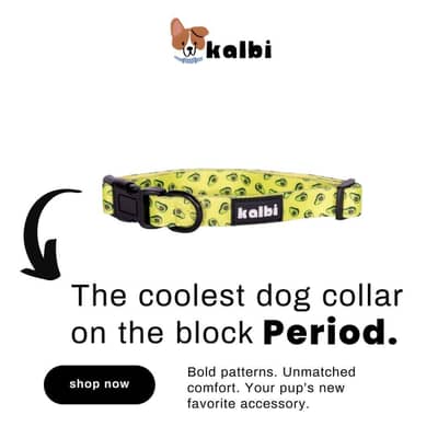 Dog collar