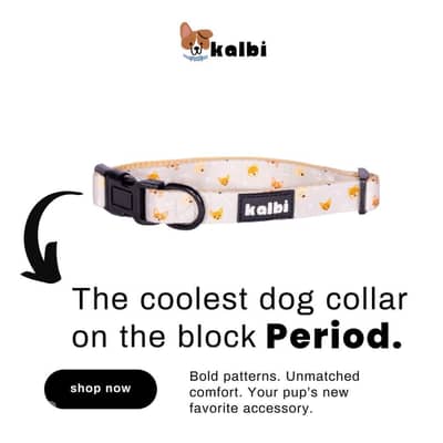 Dog collar