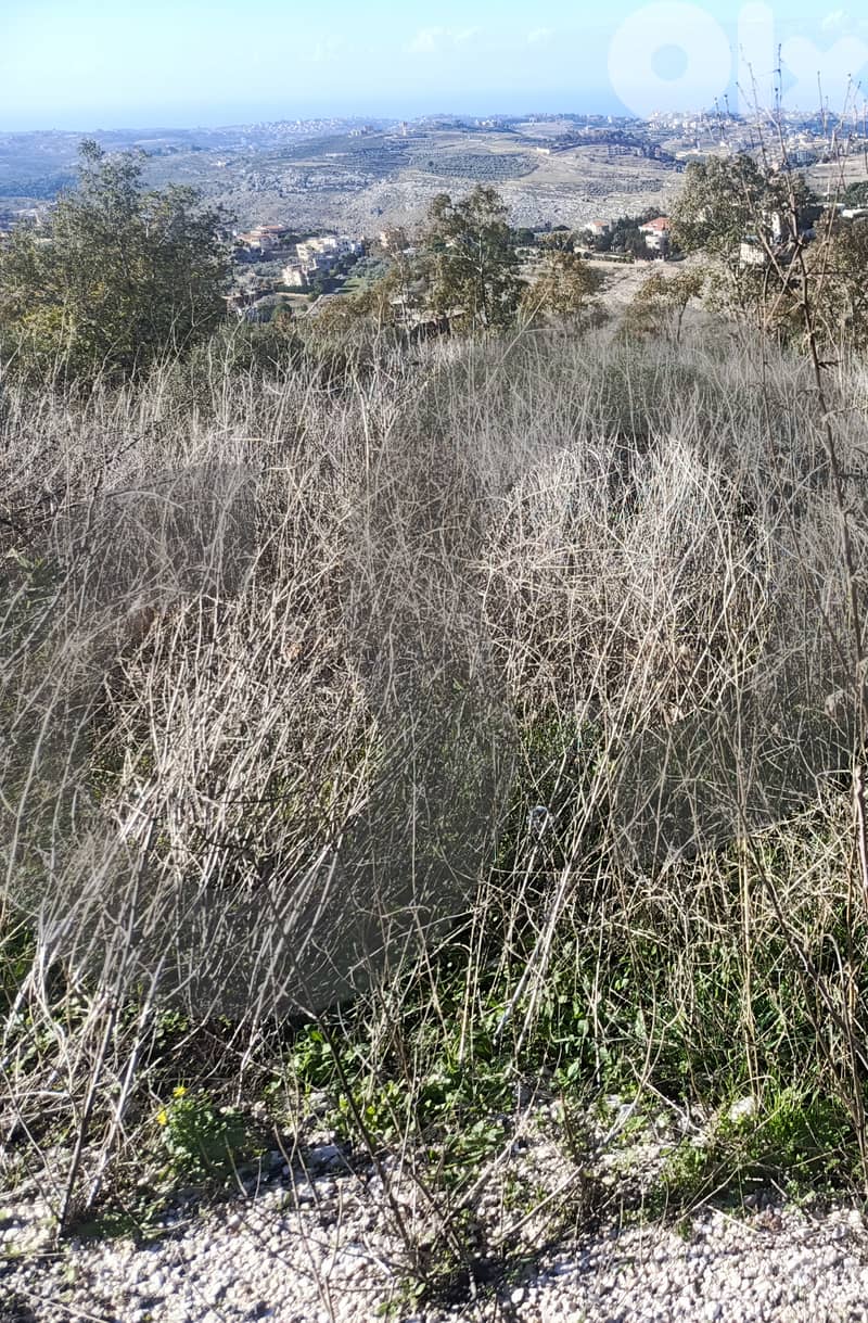 Prime Investment Opportunity | 1,200 sqm | Zoning 30/60 ! REF#YF131197 3