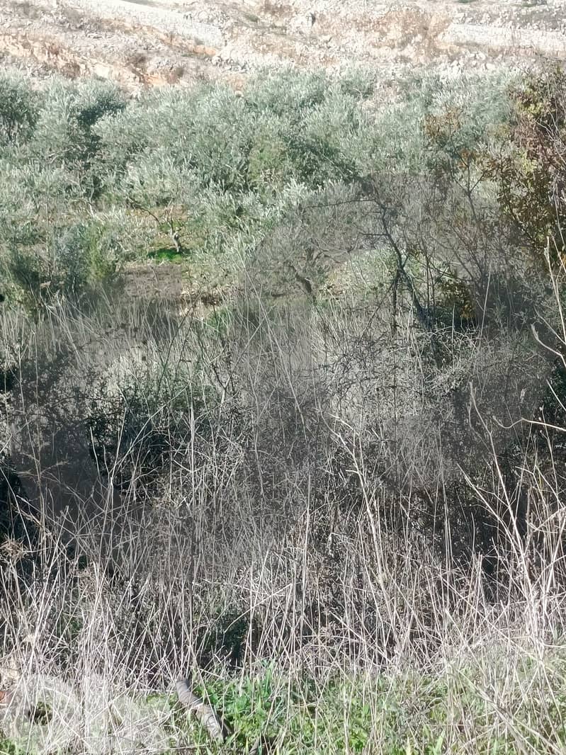 Investment Gem in Jbaa | 2,576 sqm ! REF#YF131199 ! 1