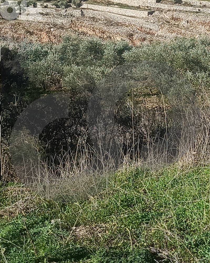 Investment Gem in Jbaa | 2,576 sqm ! REF#YF131199 ! 2