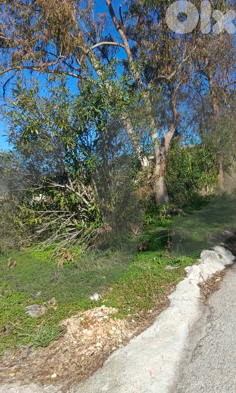 Investment Gem in Jbaa | 2,576 sqm ! REF#YF131199 ! 3