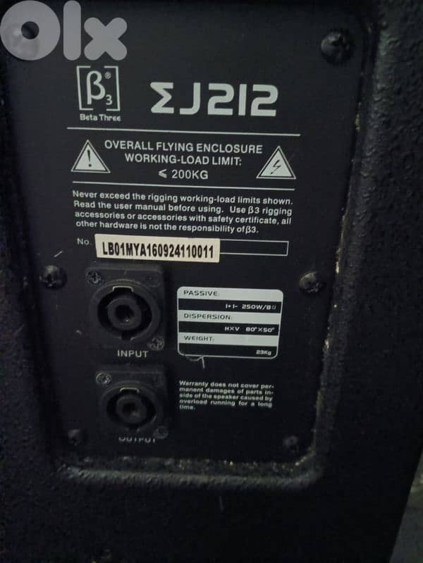 12 inch 2 pcs and emplifier  betathree 3