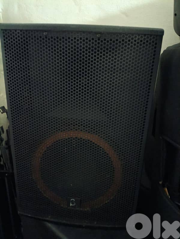 12 inch 2 pcs and emplifier  betathree 4