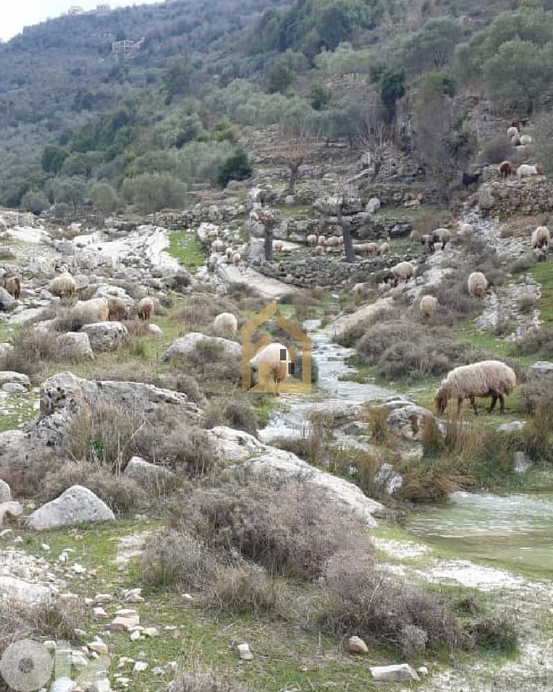 Land for sale in Batroun GH247 أرض للبيع في البترون 4