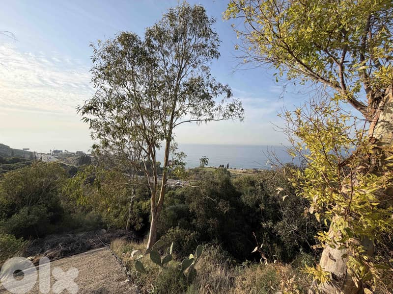 Land For Sale In Feghal | Open sea View | أرض للبيع | PLS 26443 1