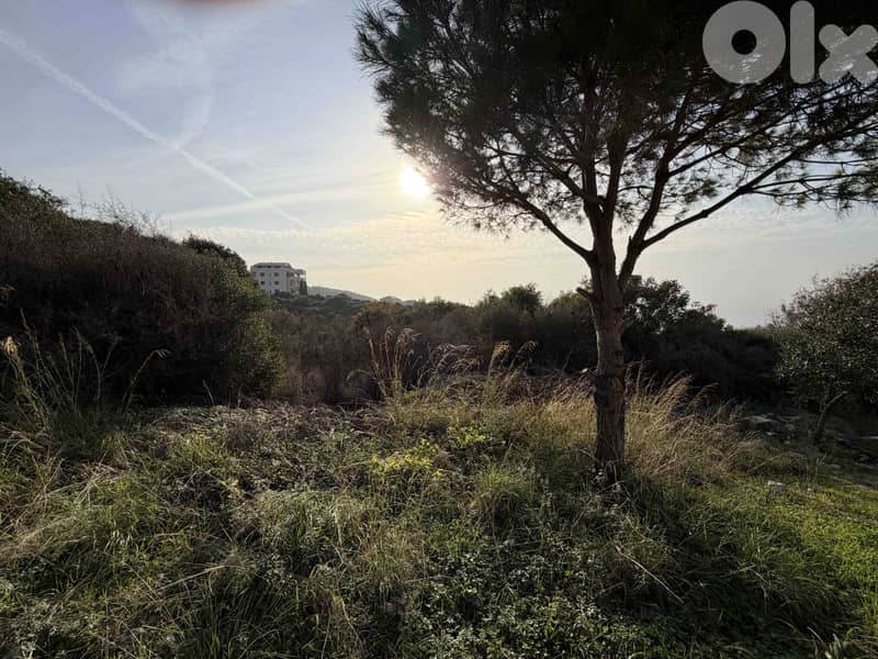 Land For Sale In Feghal | Open sea View | أرض للبيع | PLS 26443 3