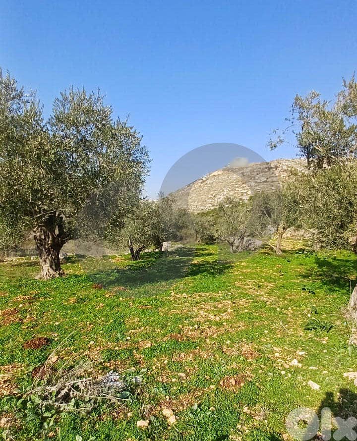 35 $/SQM - 2484 SQM Land in Dalhoun -Chouf/دلهون - الشوف REF#DI131228 1