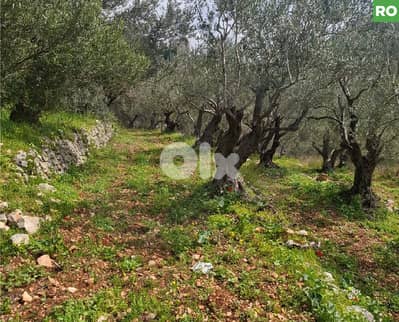 prime area, great deal, aley, bchamoun/بشامون  REF#RO131233