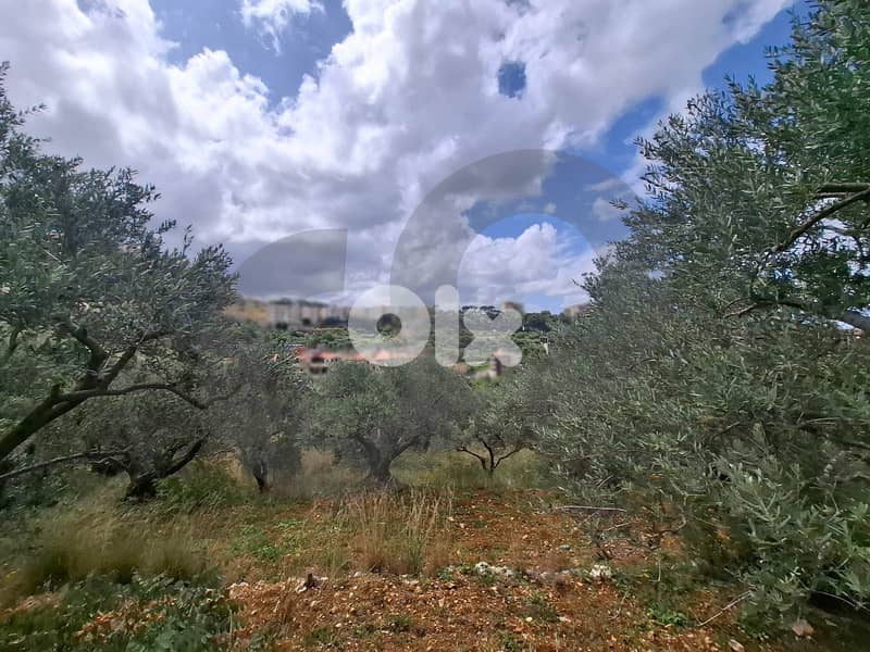 prime area, great deal, aley, bchamoun/بشامون  REF#RO131233 1