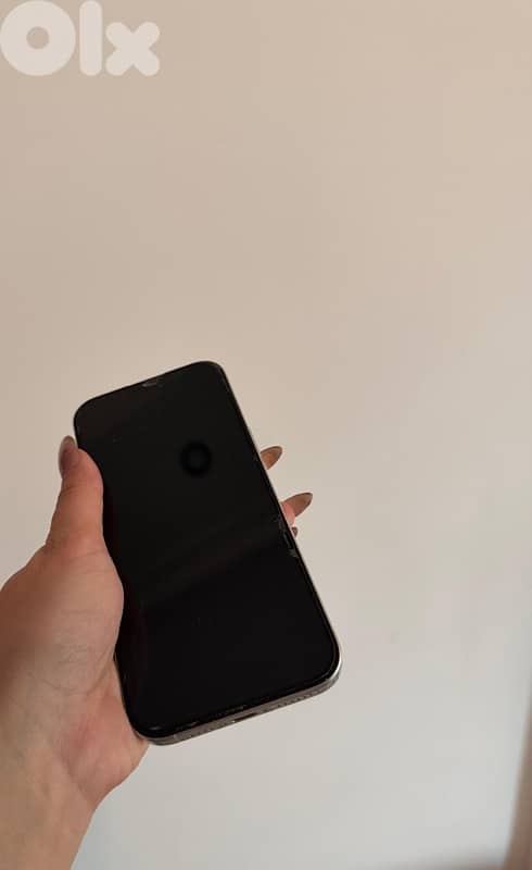 iPhone 16 Pro Max – 256GB (Used Like New) 1