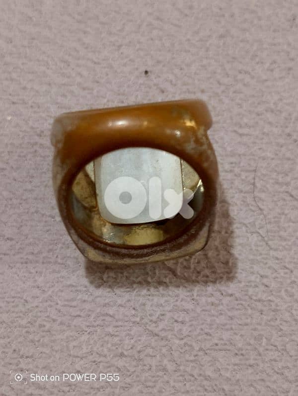 زلقا المتن 2