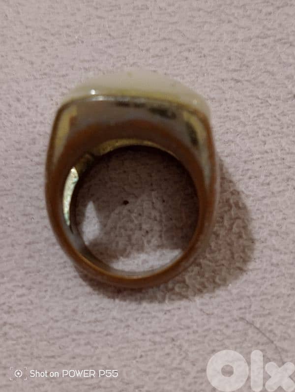 زلقا المتن 3