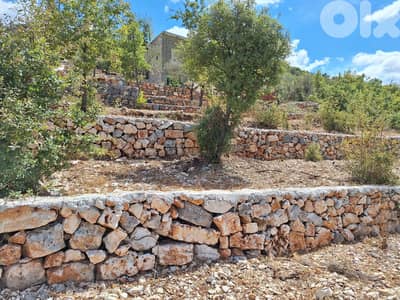 Land for sale in Assia-Batroun أرض للبيع في آسيا البترون