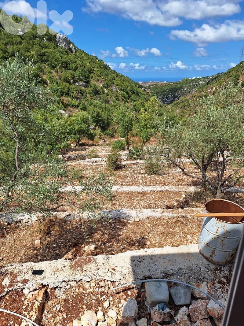 Land for sale in Assia-Batroun أرض للبيع في آسيا البترون 1