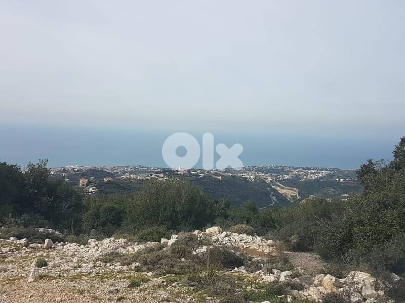 Land For Sale In Jbeil - أرض للبيع في جبيل 5