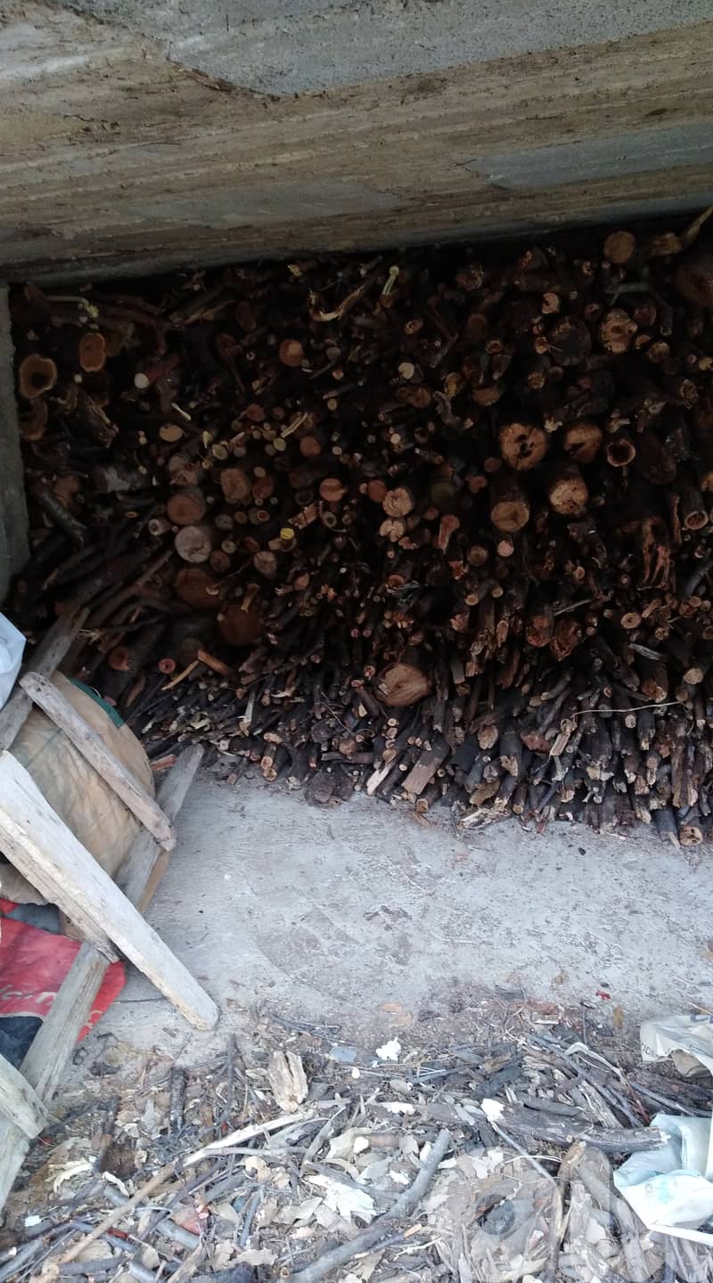 Dry Oak Wood for Fire for sale  حطب سنديان ناشف للبيع 1