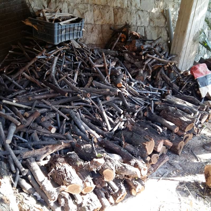 Dry Oak Wood for Fire for sale  حطب سنديان ناشف للبيع 6