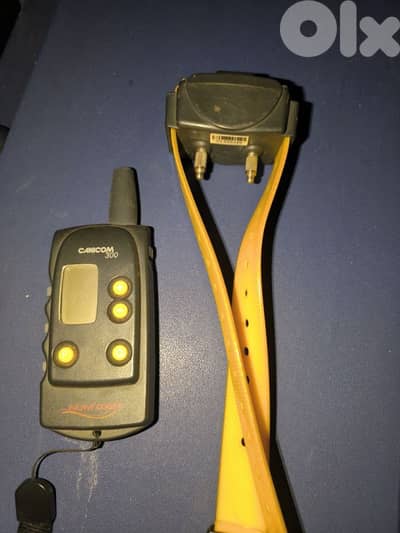 Canicom 300 remote trainer for dog.