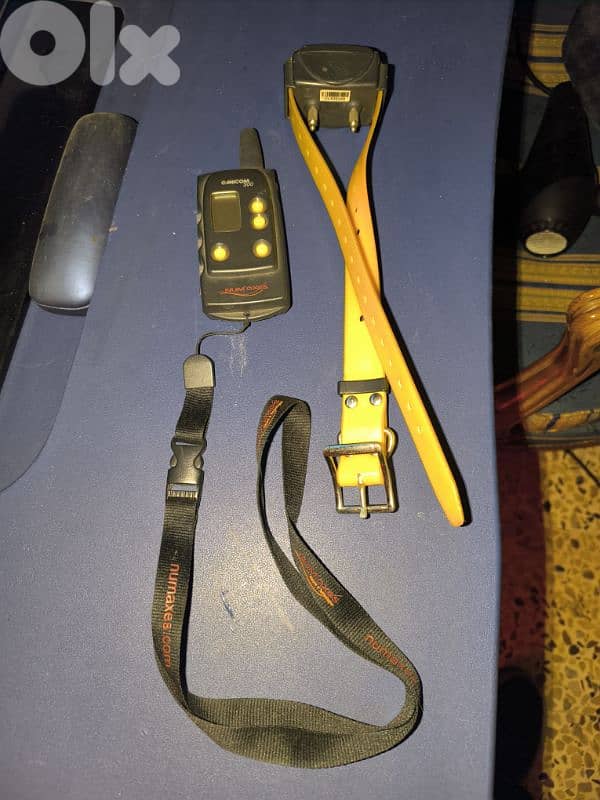 Canicom 300 remote trainer for dog. 1