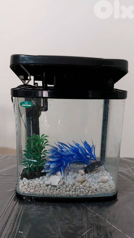 Fish Aquarium 1