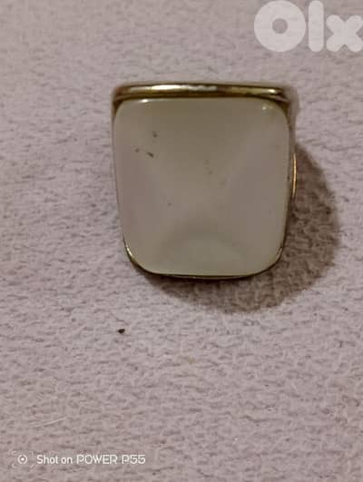 جل الديب المتن