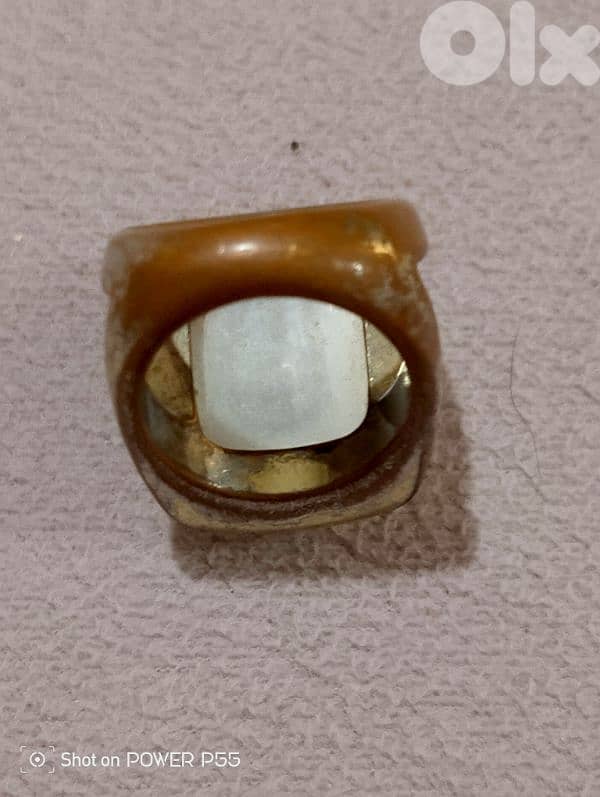 جل الديب المتن 1