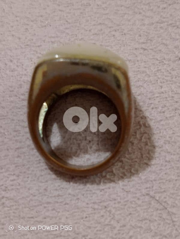 جل الديب المتن 2