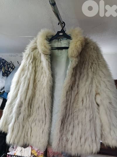 عين الرماني