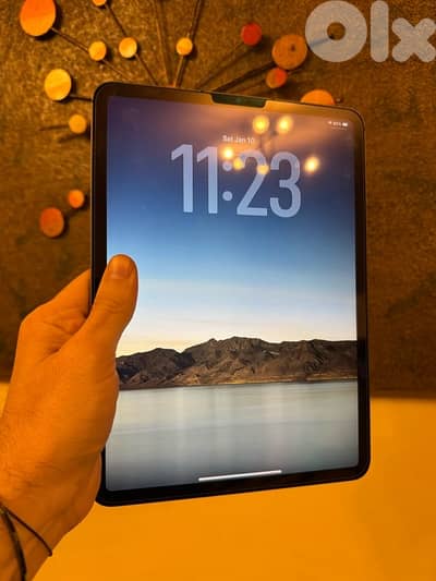 IPAD PRO M1 11 INCH 1 TERRA STORAGE ACTIVATED BYPASS WORKING 100%