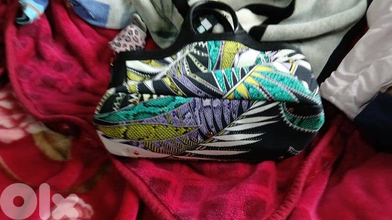 original justcavalli 2