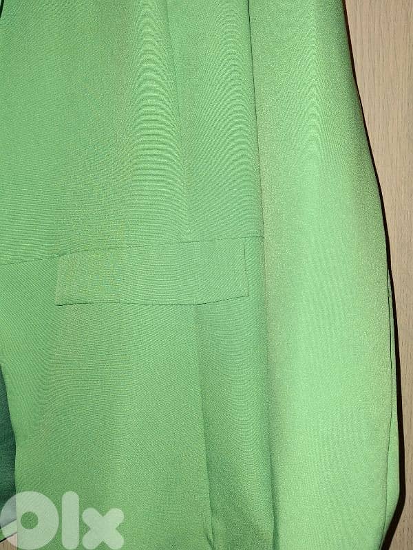 green blazer 2
