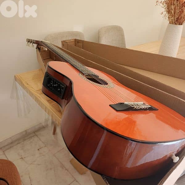 guitar electro accoustic 3