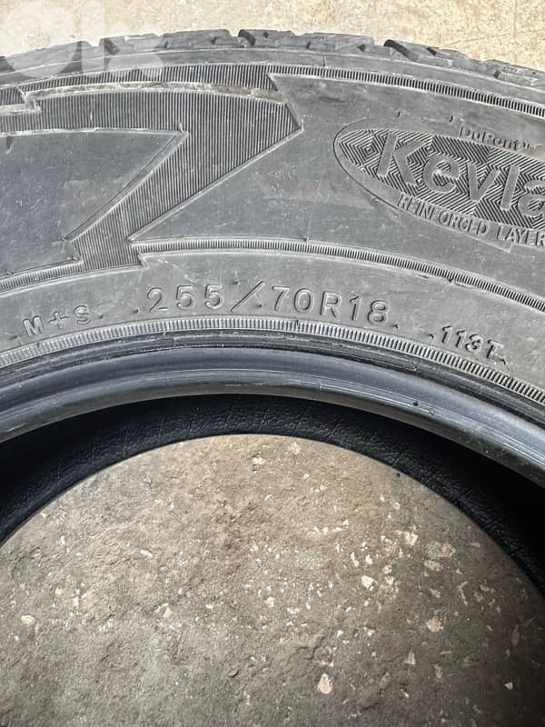 Wrengler Tires 2