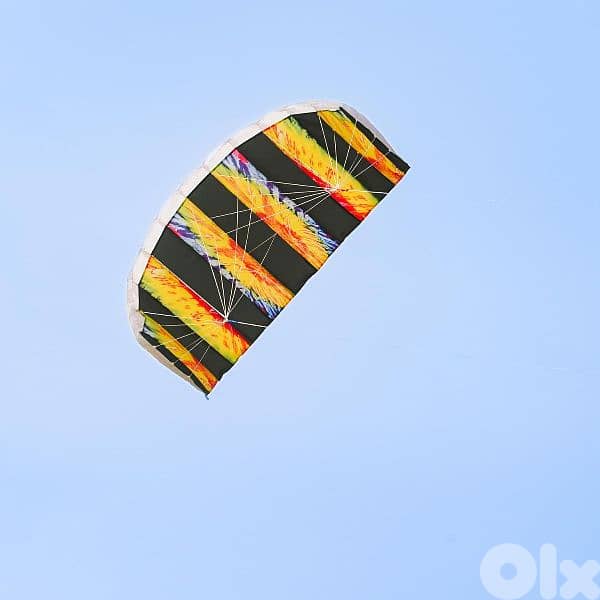 Stunt Parafoil Kite 2