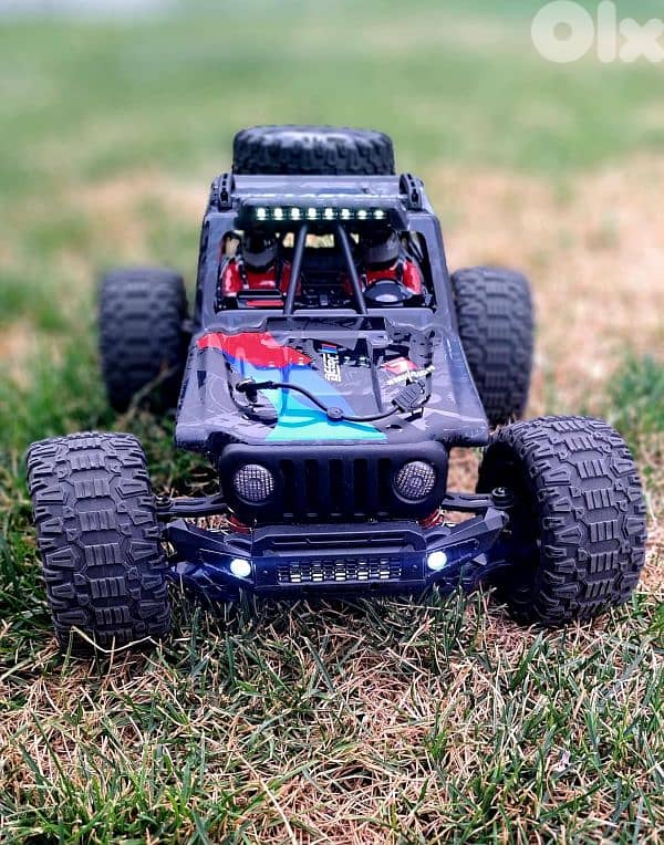 1:10 RC Buggy 4