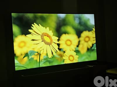 جبل لبنان جبيل