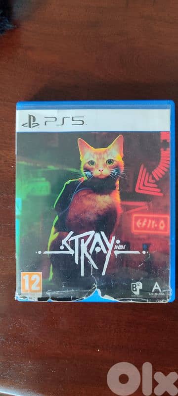 STRAY | PS5 game