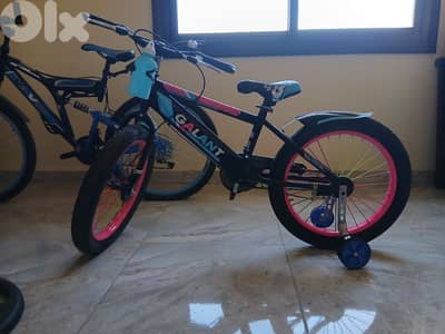 جداد مافيهن اي مشكلة و تنيناتن بس بي٣٥٠$